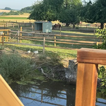 Country مكان تخييم *